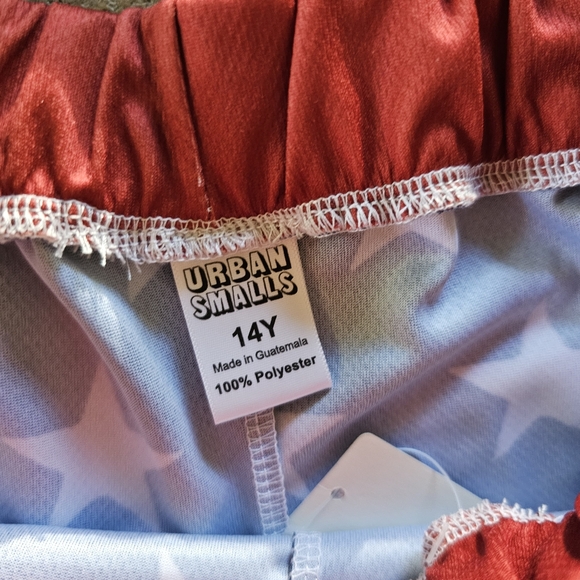 Girls French bulldog All American patriotic shirt shorts set sz 14 - Picture 5 of 6